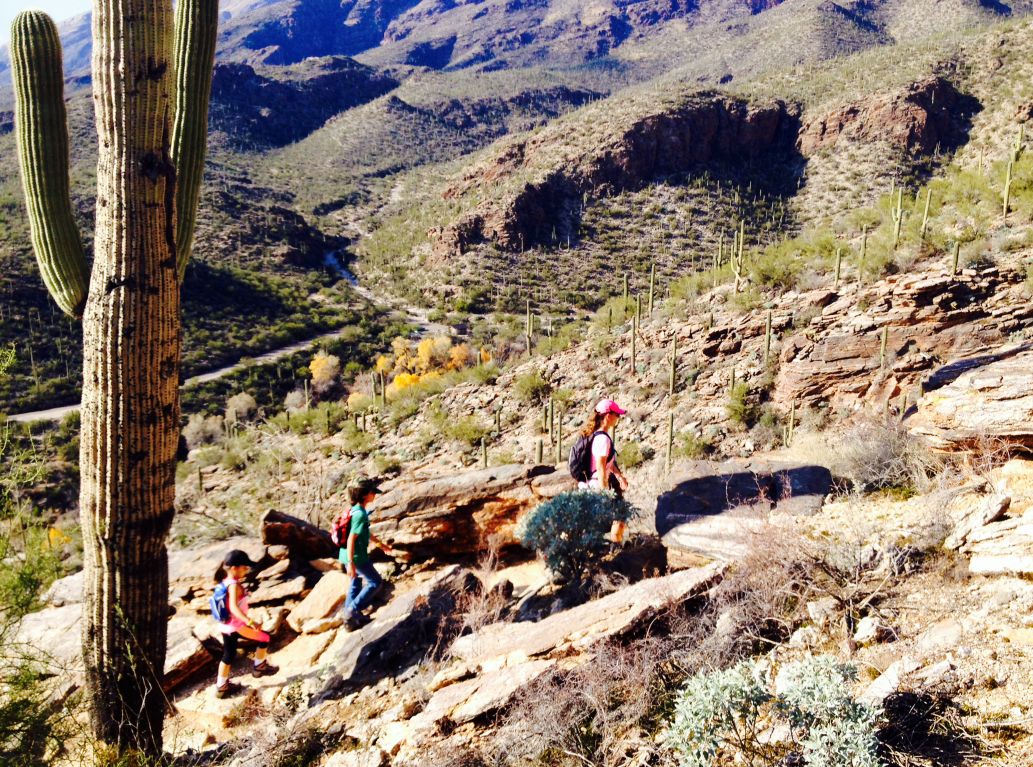 Beyond Tucson 2015